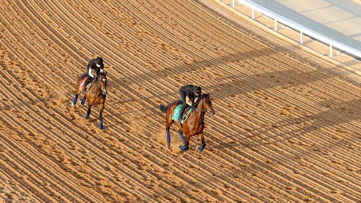 https://betting.betfair.com/horse-racing/All%20Weather%20two%20horses%20on%20gallops%201280.jpg